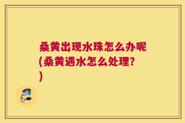 桑黄出现水珠怎么办呢(桑黄遇水怎么处理?) 桑黄出现水珠怎么办呢(桑黄遇水怎么处理?)