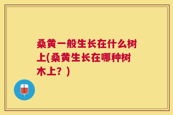 桑黄一般生长在什么树上(桑黄生长在哪种树木上?) 桑黄一般生长在什么树上(桑黄生长在哪种树木上?)