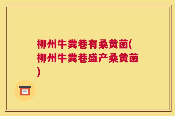 柳州牛粪巷有桑黄菌(柳州牛粪巷盛产桑黄菌) 柳州牛粪巷有桑黄菌(柳州牛粪巷盛产桑黄菌)