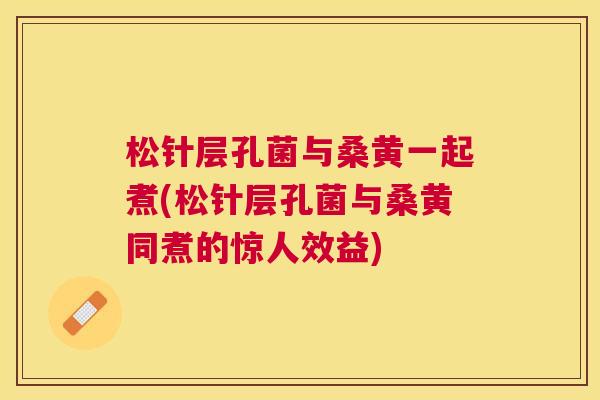 松针层孔菌与桑黄一起煮(松针层孔菌与桑黄同煮的惊人效益) 松针层孔菌与桑黄一起煮(松针层孔菌与桑黄同煮的惊人效益)