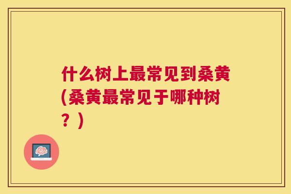 什么树上常见到桑黄(桑黄常见于哪种树？)