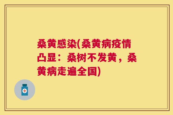 桑黄(桑黄疫情凸显:桑树不发黄,桑黄走遍全国) 桑黄(桑黄疫情凸显:桑树不发黄,桑黄走遍全国)
