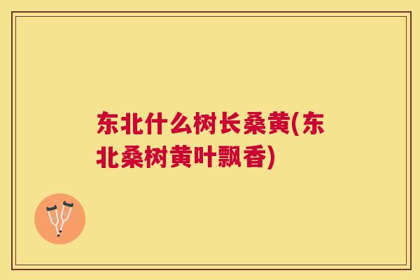 东北什么树长桑黄(东北桑树黄叶飘香) 东北什么树长桑黄(东北桑树黄叶飘香)
