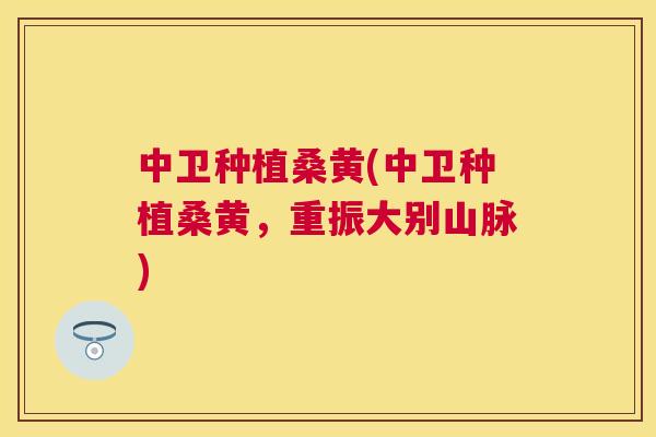 中卫种植桑黄(中卫种植桑黄,重振大别山脉) 中卫种植桑黄(中卫种植桑黄,重振大别山脉)