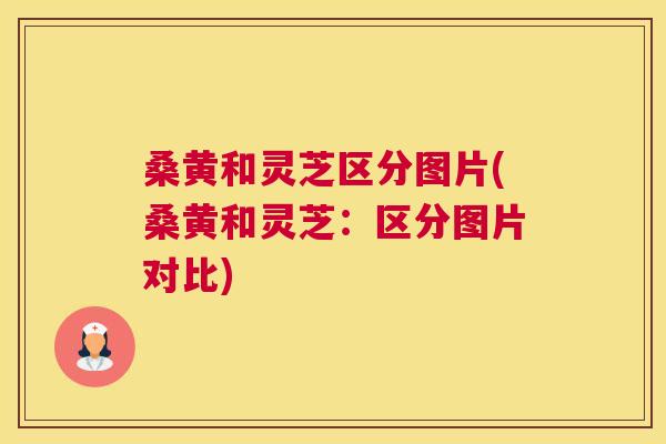 桑黄和灵芝区分图片(桑黄和灵芝:区分图片对比) 桑黄和灵芝区分图片(桑黄和灵芝:区分图片对比)