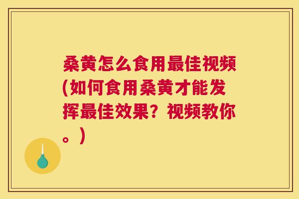 桑黄怎么食用佳视频(如何食用桑黄才能发挥佳效果?视频教你。) 桑黄怎么食用佳视频(如何食用桑黄才能发挥佳效果?视频教你。)