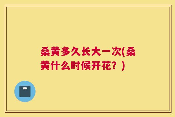 桑黄多久长大一次(桑黄什么时候开花?) 桑黄多久长大一次(桑黄什么时候开花?)