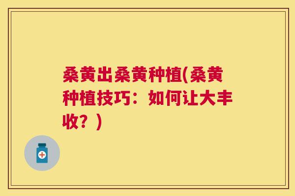 桑黄出桑黄种植(桑黄种植技巧:如何让大丰收?) 桑黄出桑黄种植(桑黄种植技巧:如何让大丰收?)