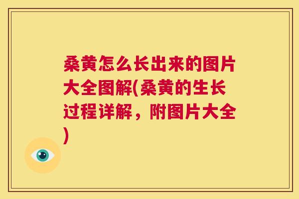 桑黄怎么长出来的图片大全图解(桑黄的生长过程详解,附图片大全) 桑黄怎么长出来的图片大全图解(桑黄的生长过程详解,附图片大全)