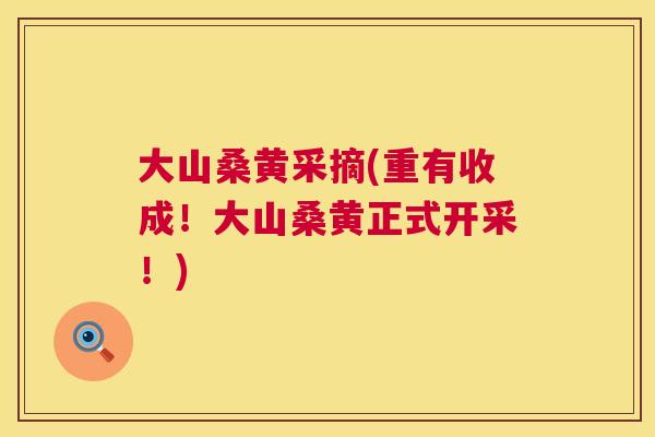 大山桑黄采摘(重有收成!大山桑黄正式开采!) 大山桑黄采摘(重有收成!大山桑黄正式开采!)