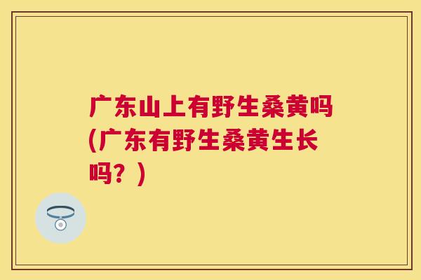 广东山上有野生桑黄吗(广东有野生桑黄生长吗？)