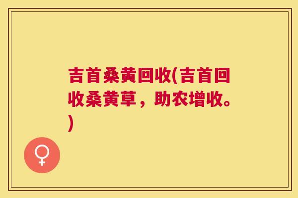 吉首桑黄回收(吉首回收桑黄草,助农增收。) 吉首桑黄回收(吉首回收桑黄草,助农增收。)