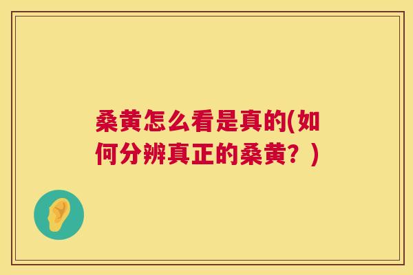 桑黄怎么看是真的(如何分辨真正的桑黄?) 桑黄怎么看是真的(如何分辨真正的桑黄?)