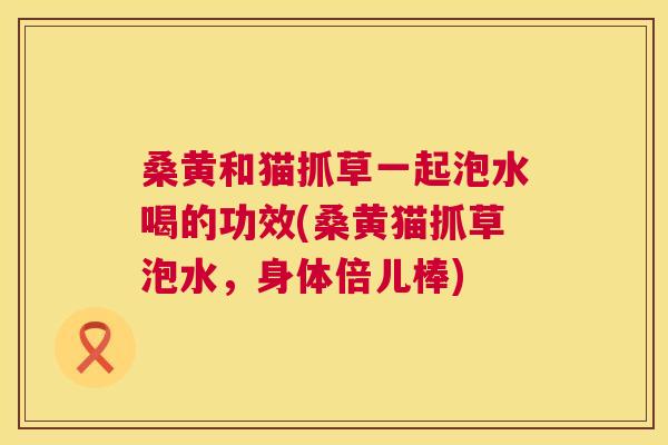 桑黄和猫抓草一起泡水喝的功效(桑黄猫抓草泡水,身体倍儿棒) 桑黄和猫抓草一起泡水喝的功效(桑黄猫抓草泡水,身体倍儿棒)
