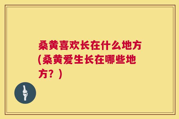 桑黄喜欢长在什么地方(桑黄爱生长在哪些地方?) 桑黄喜欢长在什么地方(桑黄爱生长在哪些地方?)