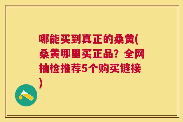哪能买到真正的桑黄(桑黄哪里买正品?全网抽检推荐5个购买链接) 哪能买到真正的桑黄(桑黄哪里买正品?全网抽检推荐5个购买链接)
