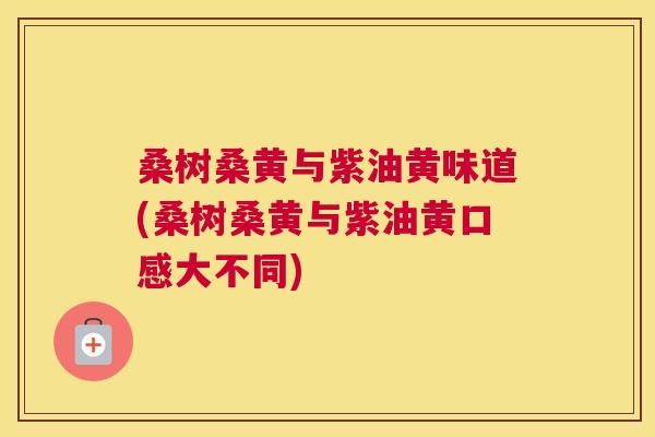 桑树桑黄与紫油黄味道(桑树桑黄与紫油黄口感大不同) 桑树桑黄与紫油黄味道(桑树桑黄与紫油黄口感大不同)