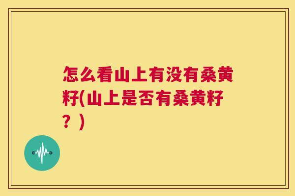 怎么看山上有没有桑黄籽(山上是否有桑黄籽?) 怎么看山上有没有桑黄籽(山上是否有桑黄籽?)