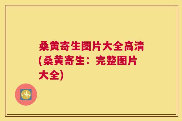 桑黄寄生图片大全高清(桑黄寄生:完整图片大全) 桑黄寄生图片大全高清(桑黄寄生:完整图片大全)