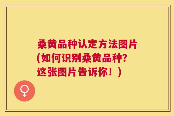 桑黄品种认定方法图片(如何识别桑黄品种?这张图片告诉你!) 桑黄品种认定方法图片(如何识别桑黄品种?这张图片告诉你!)