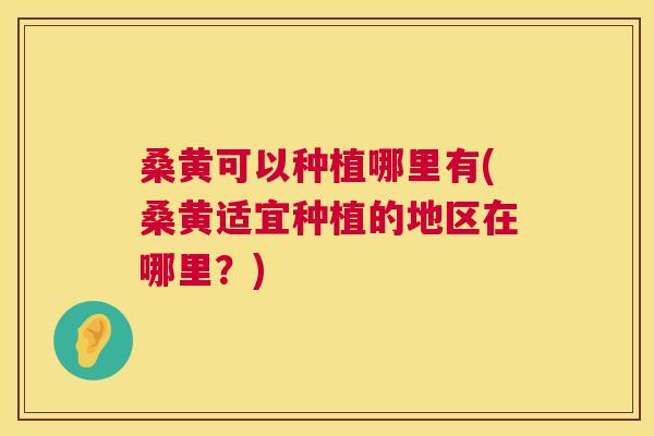 桑黄可以种植哪里有(桑黄适宜种植的地区在哪里?) 桑黄可以种植哪里有(桑黄适宜种植的地区在哪里?)