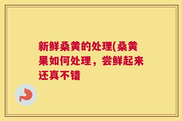 新鲜桑黄的处理(桑黄果如何处理,尝鲜起来还真不错 新鲜桑黄的处理(桑黄果如何处理,尝鲜起来还真不错