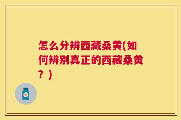 怎么分辨西藏桑黄(如何辨别真正的西藏桑黄?) 怎么分辨西藏桑黄(如何辨别真正的西藏桑黄?)