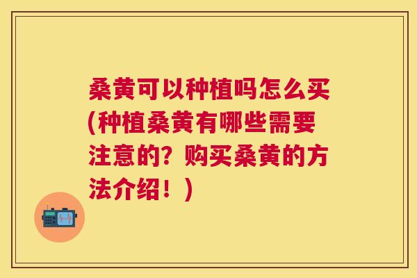 桑黄可以种植吗怎么买(种植桑黄有哪些需要注意的?购买桑黄的方法介绍!) 桑黄可以种植吗怎么买(种植桑黄有哪些需要注意的?购买桑黄的方法介绍!)