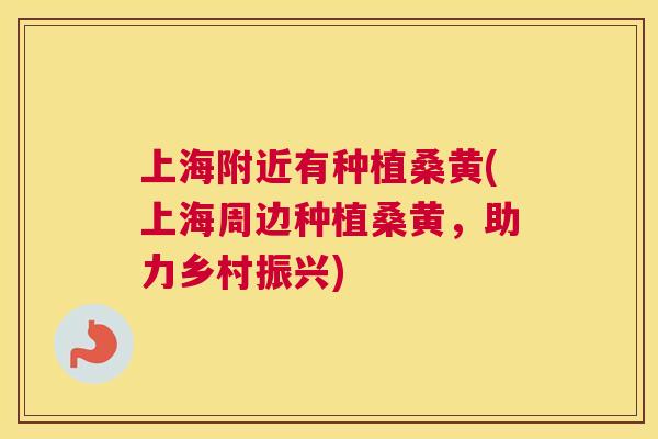上海附近有种植桑黄(上海周边种植桑黄,助力乡村振兴) 上海附近有种植桑黄(上海周边种植桑黄,助力乡村振兴)