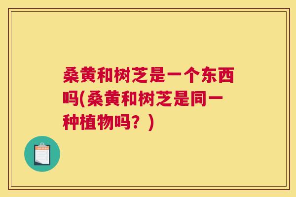 桑黄和树芝是一个东西吗(桑黄和树芝是同一种植物吗?) 桑黄和树芝是一个东西吗(桑黄和树芝是同一种植物吗?)