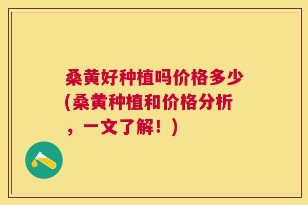 桑黄好种植吗价格多少(桑黄种植和价格分析,一文了解!) 桑黄好种植吗价格多少(桑黄种植和价格分析,一文了解!)
