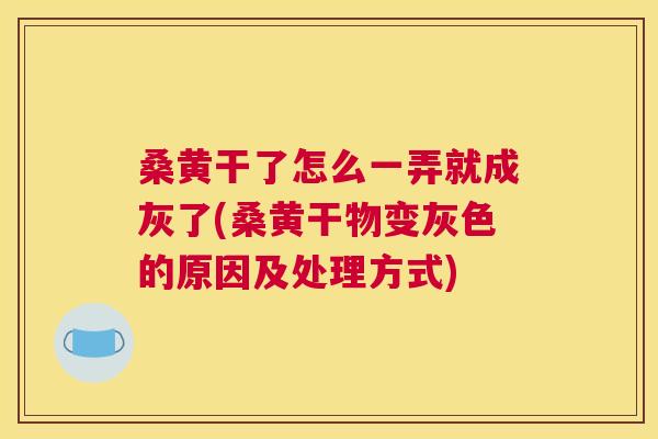桑黄干了怎么一弄就成灰了(桑黄干物变灰色的原因及处理方式)