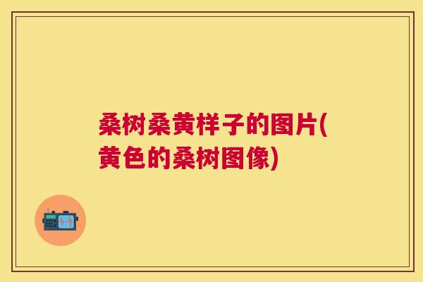 桑树桑黄样子的图片(黄色的桑树图像) 桑树桑黄样子的图片(黄色的桑树图像)