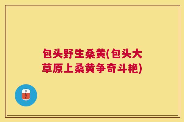 包头野生桑黄(包头大草原上桑黄争奇斗艳) 包头野生桑黄(包头大草原上桑黄争奇斗艳)