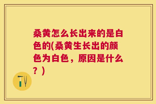 桑黄怎么长出来的是白色的(桑黄生长出的颜色为白色,原因是什么?) 桑黄怎么长出来的是白色的(桑黄生长出的颜色为白色,原因是什么?)