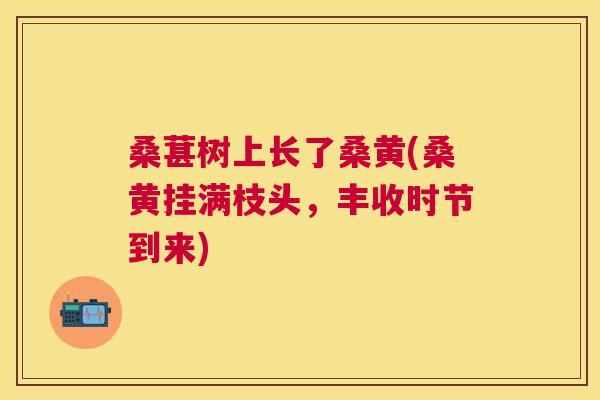 桑葚树上长了桑黄(桑黄挂满枝头,丰收时节到来) 桑葚树上长了桑黄(桑黄挂满枝头,丰收时节到来)