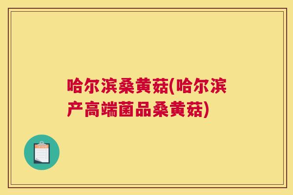 哈尔滨桑黄菇(哈尔滨产高端菌品桑黄菇) 哈尔滨桑黄菇(哈尔滨产高端菌品桑黄菇)
