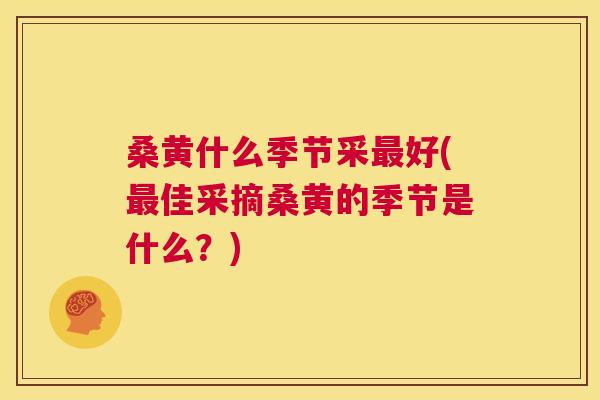 桑黄什么季节采好(佳采摘桑黄的季节是什么?) 桑黄什么季节采好(佳采摘桑黄的季节是什么?)