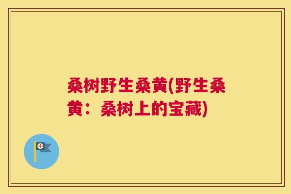 桑树野生桑黄(野生桑黄:桑树上的宝藏) 桑树野生桑黄(野生桑黄:桑树上的宝藏)