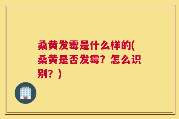 桑黄发霉是什么样的(桑黄是否发霉？怎么识别？)