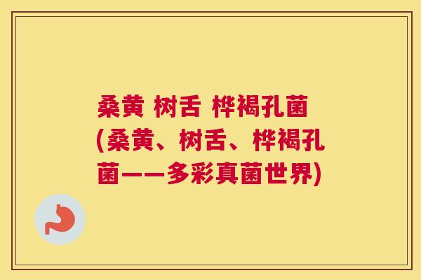桑黄 树舌 桦褐孔菌(桑黄、树舌、桦褐孔菌——多彩真菌世界) 桑黄 树舌 桦褐孔菌(桑黄、树舌、桦褐孔菌——多彩真菌世界)
