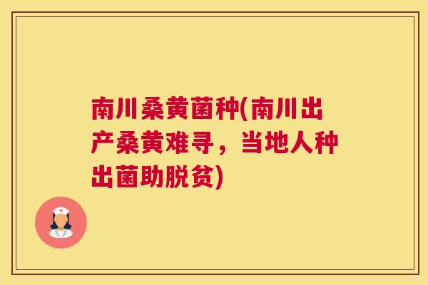 南川桑黄菌种(南川出产桑黄难寻,当地人种出菌助脱贫) 南川桑黄菌种(南川出产桑黄难寻,当地人种出菌助脱贫)