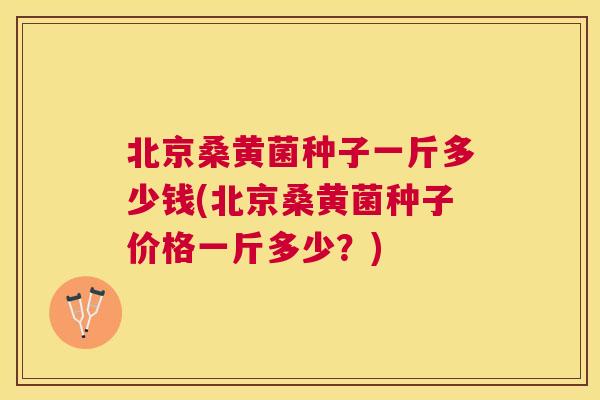 北京桑黄菌种子一斤多少钱(北京桑黄菌种子价格一斤多少?) 北京桑黄菌种子一斤多少钱(北京桑黄菌种子价格一斤多少?)