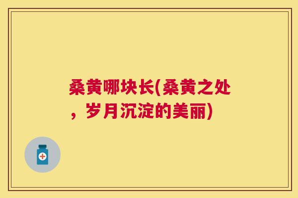 桑黄哪块长(桑黄之处,岁月沉淀的美丽) 桑黄哪块长(桑黄之处,岁月沉淀的美丽)