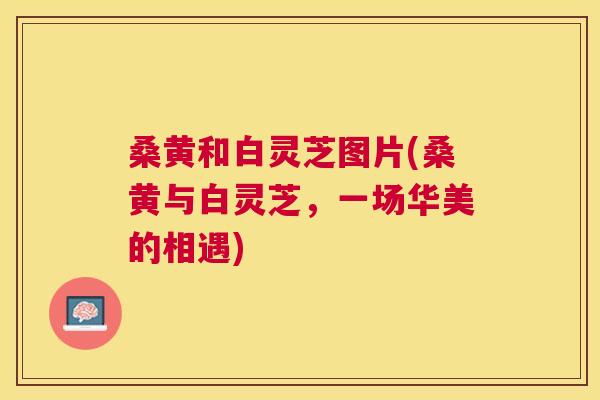 桑黄和白灵芝图片(桑黄与白灵芝，一场华美的相遇)
