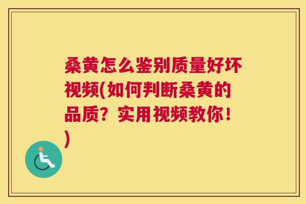 桑黄怎么鉴别质量好坏视频(如何判断桑黄的品质?实用视频教你!) 桑黄怎么鉴别质量好坏视频(如何判断桑黄的品质?实用视频教你!)