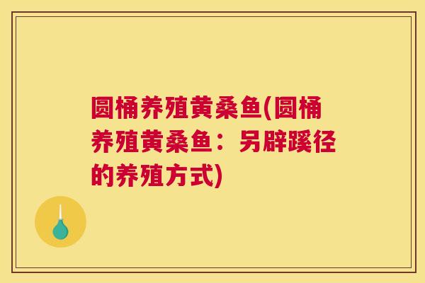 圆桶养殖黄桑鱼(圆桶养殖黄桑鱼:另辟蹊径的养殖方式) 圆桶养殖黄桑鱼(圆桶养殖黄桑鱼:另辟蹊径的养殖方式)