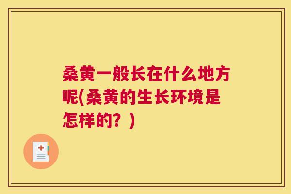 桑黄一般长在什么地方呢(桑黄的生长环境是怎样的?) 桑黄一般长在什么地方呢(桑黄的生长环境是怎样的?)