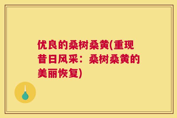 优良的桑树桑黄(重现昔日风采:桑树桑黄的美丽恢复) 优良的桑树桑黄(重现昔日风采:桑树桑黄的美丽恢复)