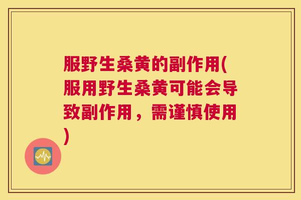 服野生桑黄的副作用(服用野生桑黄可能会导致副作用,需谨慎使用) 服野生桑黄的副作用(服用野生桑黄可能会导致副作用,需谨慎使用)